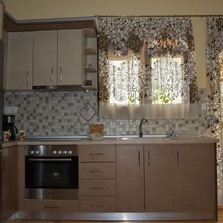 Petros House Apartment Никити Екстериор снимка