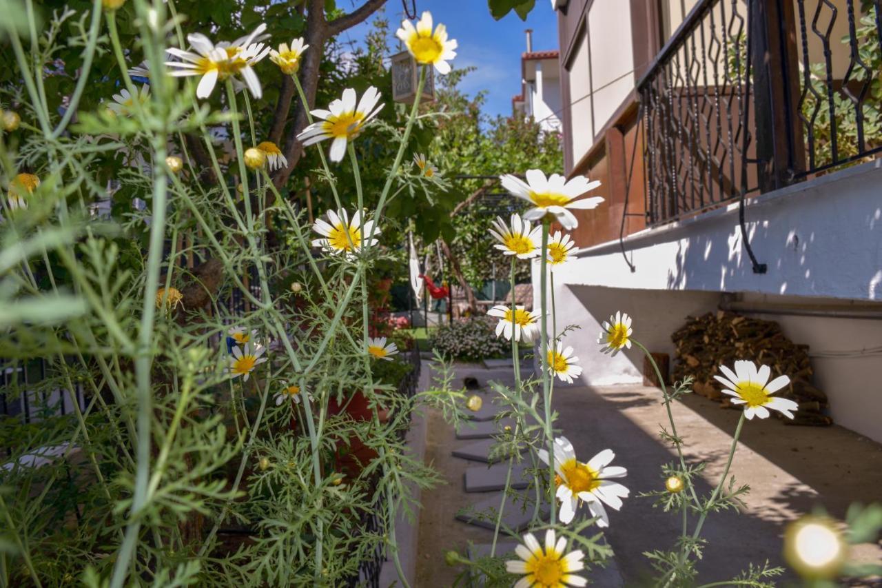Petros House Apartment Никити Екстериор снимка